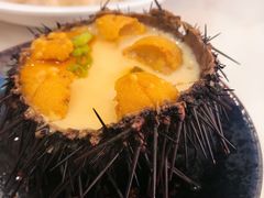 -海胆小馆(东北水饺·春柳店)