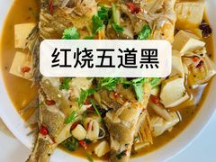 -煲来饱去冷水鱼