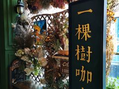 -一棵树咖啡馆(泉乐坊店)