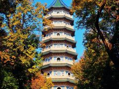 -灵谷景区