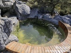 -和园景逸大酒店朗月汤泉