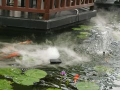 -濮园 · 四合院餐厅