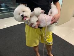 -海马体照相馆(成都来福士广场店)
