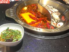 -麻辣英雄重庆火锅(常平店)