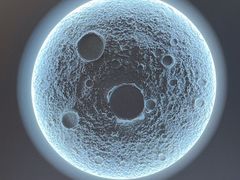 -九转小磨·非遗东北菜(群力店)