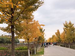 -汉景帝阳陵博物院