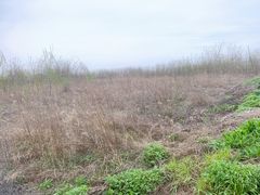 -处女泉风景名胜区