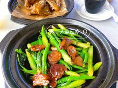 -鸽小宝(深圳首店)