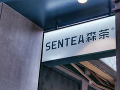 -森茶(湛江万达店)
