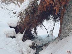 -峡谷浮石林景区
