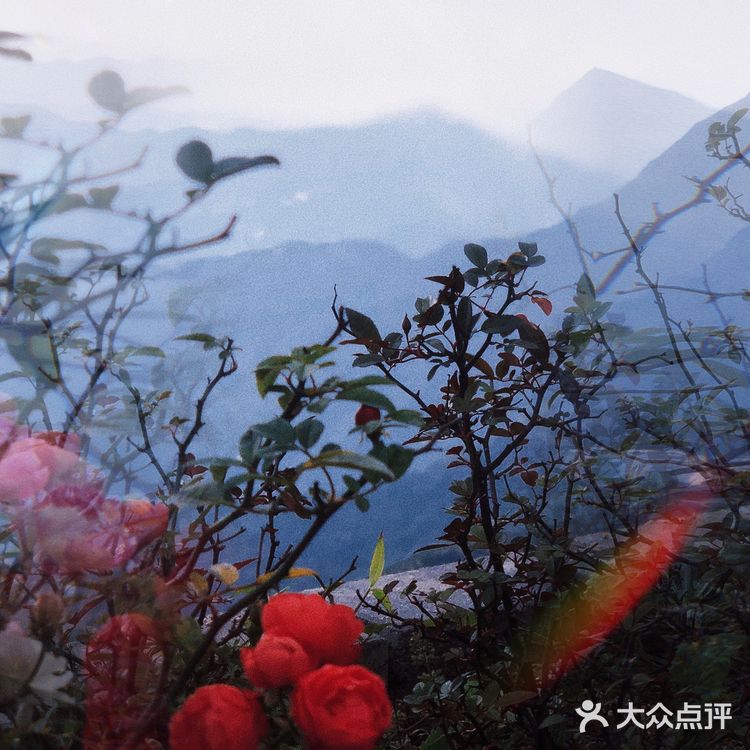 ⛰️潮州 凤凰山攻略⛺️含泪避雷篇🚫