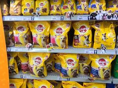 -农工商超市(金沙江路店)