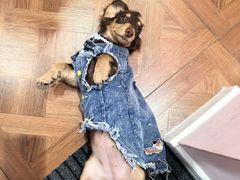 -闽江夜游台江旅游码头