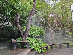-Chom Cafe and Restaurant