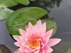-太白山御龙湾温泉