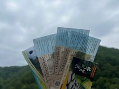 -牛背梁国家森林公园