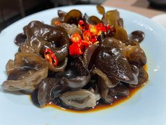 -探窝·竹笙椰子鸡(杨箕店)