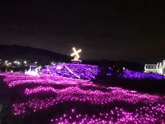 -大塘金香草谷