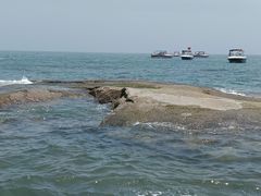 -日照灯塔风景区
