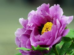 -沕沕水生态风景区