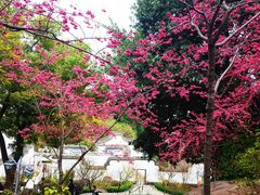-乌山风景区