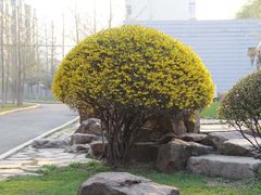 -辽宁大学(崇山校区)