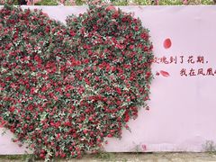 -北京凤凰岭
