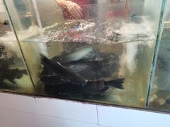 -湄公河秘制烤鱼(西双十贰城商业中心店)