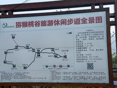-大岭沟猕猴桃谷风景区