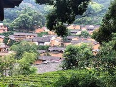 -杨家堂村