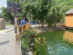-参仙谷生态旅游度假区