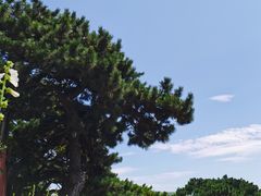 -妙峰山风景名胜区