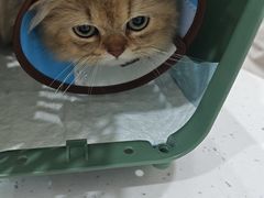 -贝利宠物医院·骨科·眼科·肿瘤转诊中心(南坪诊疗中心)