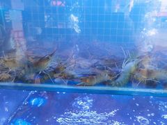 -马王堆海鲜水产市场