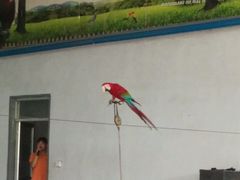 -兰陵国家农业公园