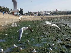 -老味道民宿(栈桥店)