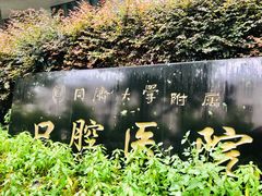 -同济大学附属口腔医院