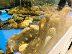 -永辉超市(鲁谷店)