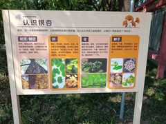 -玲珑塔公园