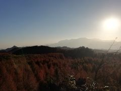 -山王坪喀斯特国家生态公园
