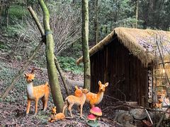 -凤栖山