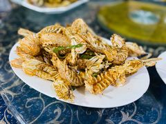 椒盐攋尿虾-波记美食店·现捞海鲜