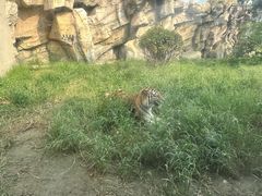 -泉城欧乐堡梦幻世界
