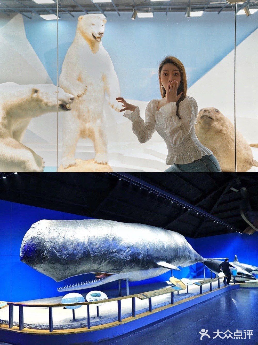 超出片｜青岛海底世界🐠小长假约起来