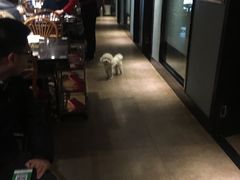 -蜀香居鲜毛肚火锅