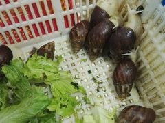 -紫阳家宴(源深店)