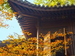 -宁波市保国寺古建筑博物馆