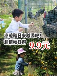-前小桔亲子创意农场·草莓采摘·露营烧烤