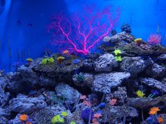 -成都浩海立方海洋公园