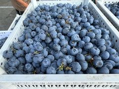 -东方鼎信农副产品交易中心